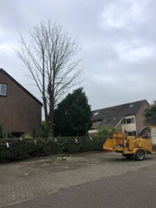 mbbosbouwtechnike-boom-vellen-merlijn-buytendijk