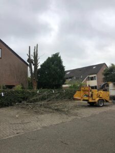bomen-uitkleden-mbbosbouwtechniek-merlijn-buytendijk