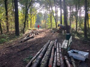 uitslepen-rondhout-mbbosbouwtechniek-merlijn-buytendijk