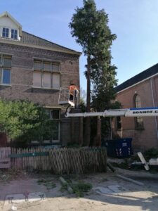 bomen rooien