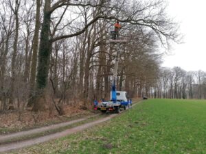 hoogwerker-bosrand-mbbosbouwtechniek